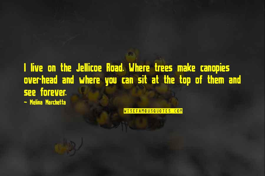 Doctor Who Rose And Ten Quotes By Melina Marchetta: I live on the Jellicoe Road. Where trees