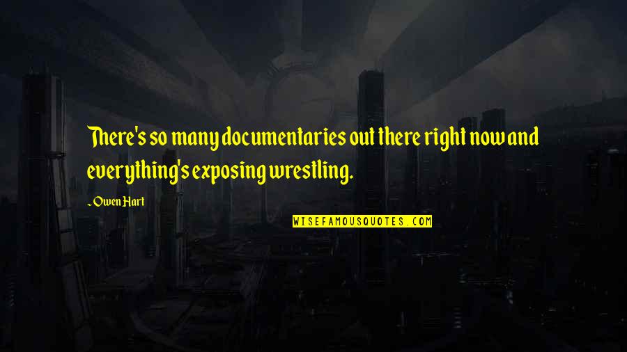 Documentaries Quotes By Owen Hart: There's so many documentaries out there right now