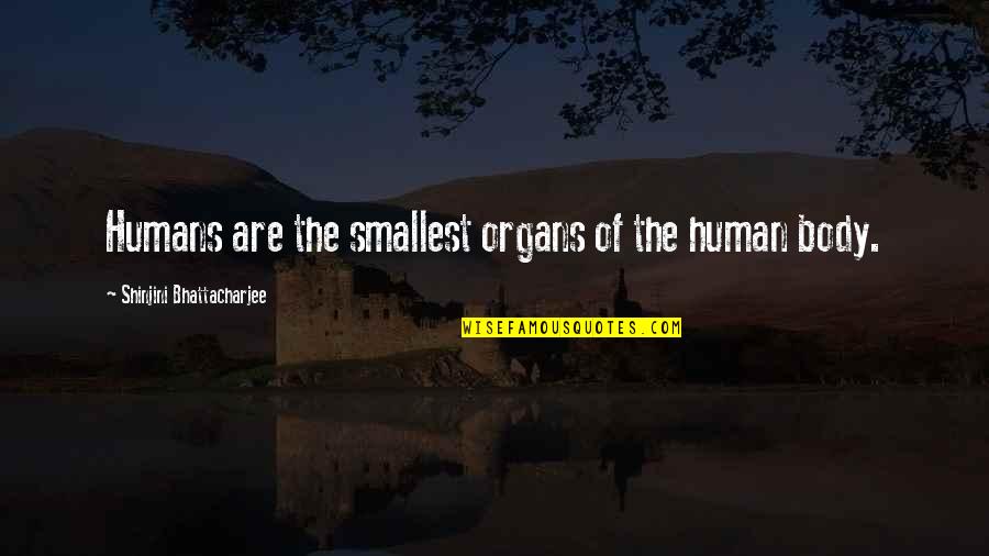 Doddema Zuidbroek Quotes By Shinjini Bhattacharjee: Humans are the smallest organs of the human Doddema Zuidbroek Quotes By Shinjini Bhattacharjee: Humans are the smallest organs of the human