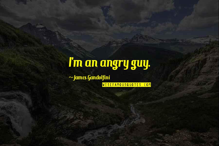 Dodecahedron Quotes By James Gandolfini: I'm an angry guy.