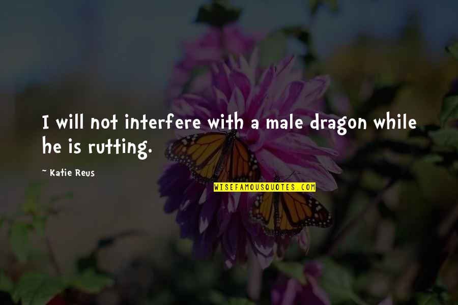 Dodgeball Bateman Quotes By Katie Reus: I will not interfere with a male dragon