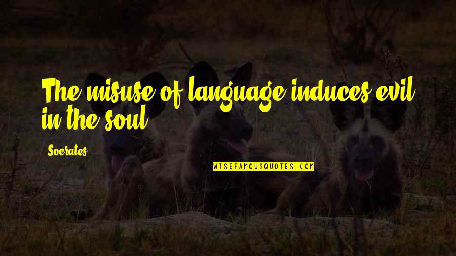 Doege West Quotes By Socrates: The misuse of language induces evil in the