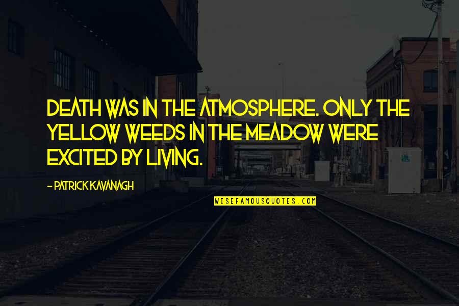 Doema Quotes By Patrick Kavanagh: Death was in the atmosphere. Only the yellow Doema Quotes By Patrick Kavanagh: Death was in the atmosphere. Only the yellow