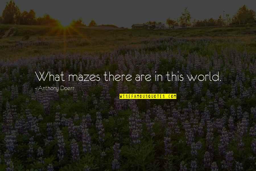 Doerr Quotes By Anthony Doerr: What mazes there are in this world.