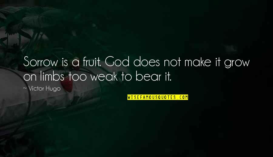 Does A Bear Quotes By Victor Hugo: Sorrow is a fruit. God does not make