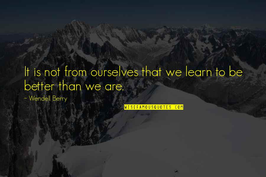 Does Anyone Care Me Quotes By Wendell Berry: It is not from ourselves that we learn Does Anyone Care Me Quotes By Wendell Berry: It is not from ourselves that we learn