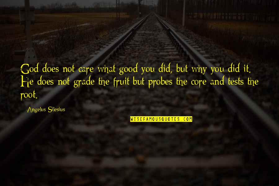 Does He Care Quotes By Angelus Silesius: God does not care what good you did,