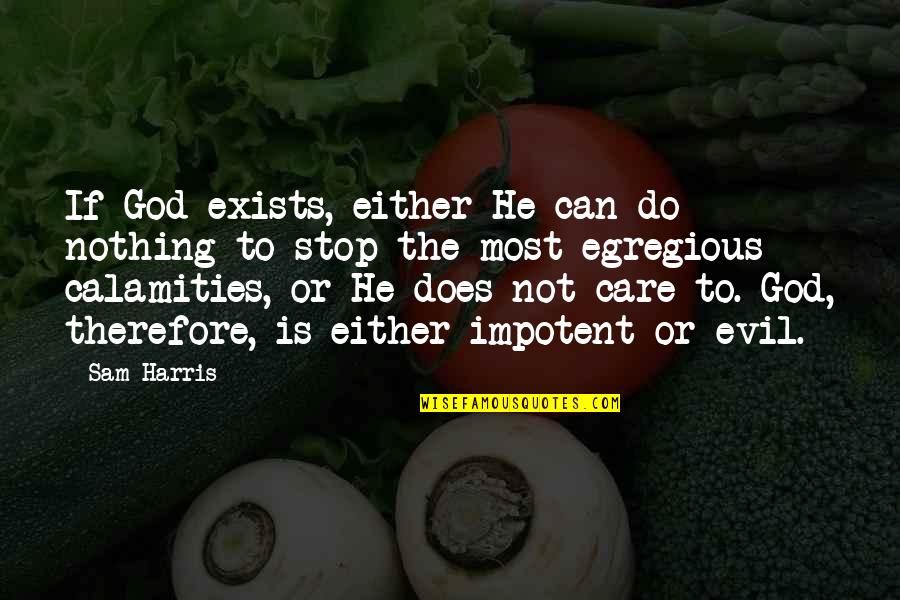 Does He Care Quotes By Sam Harris: If God exists, either He can do nothing