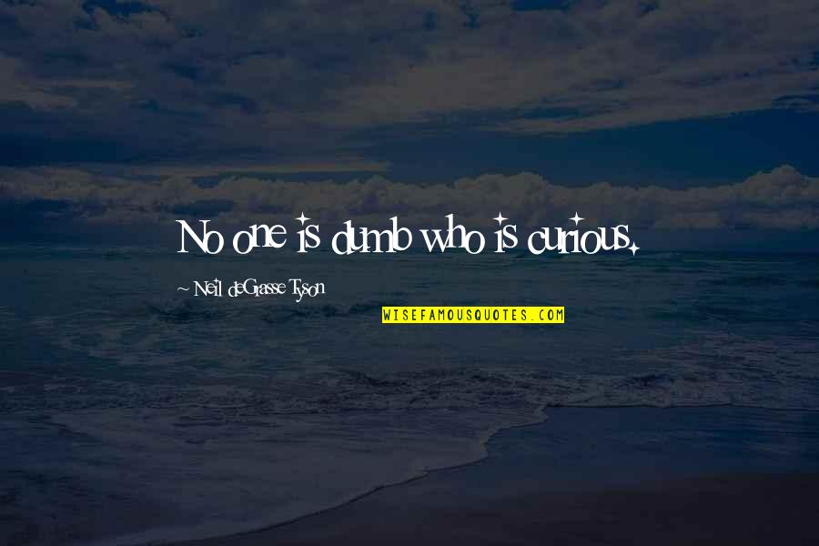 Does Love Even Exist Quotes By Neil DeGrasse Tyson: No one is dumb who is curious.