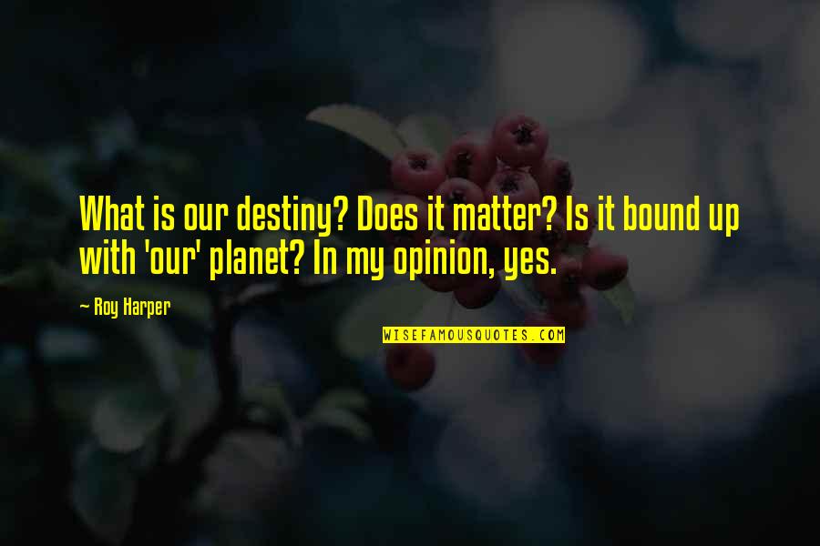 Does My Opinion Matter Quotes By Roy Harper: What is our destiny? Does it matter? Is