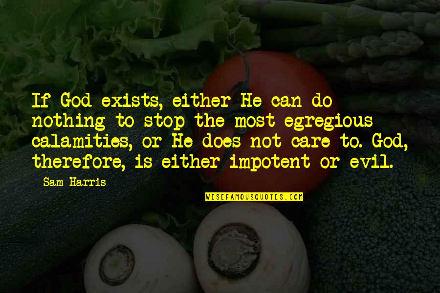 Does Not Care Quotes By Sam Harris: If God exists, either He can do nothing