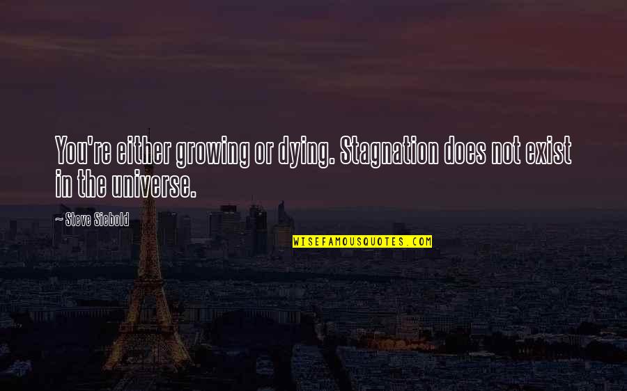 Does Not Exist Quotes By Steve Siebold: You're either growing or dying. Stagnation does not