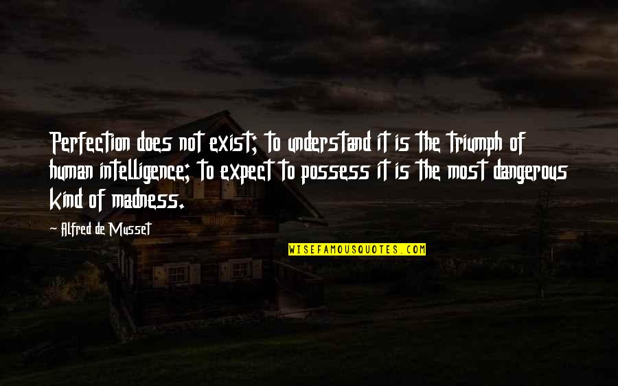 Does Not Understand Quotes By Alfred De Musset: Perfection does not exist; to understand it is