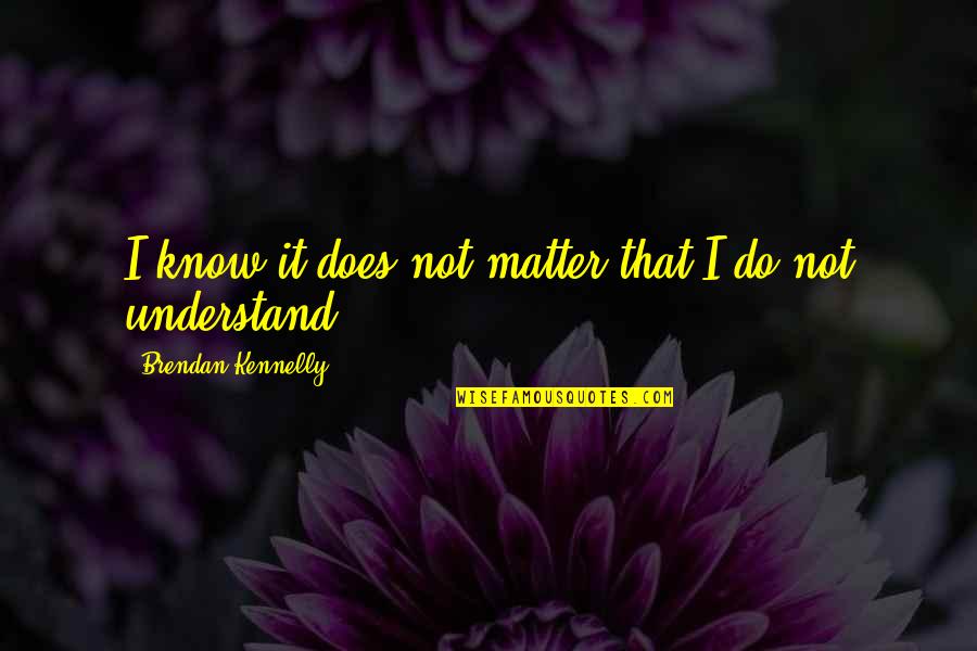 Does Not Understand Quotes By Brendan Kennelly: I know it does not matter that I