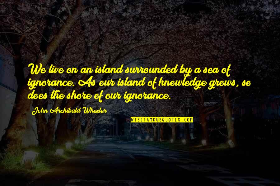 Does The Quotes By John Archibald Wheeler: We live on an island surrounded by a