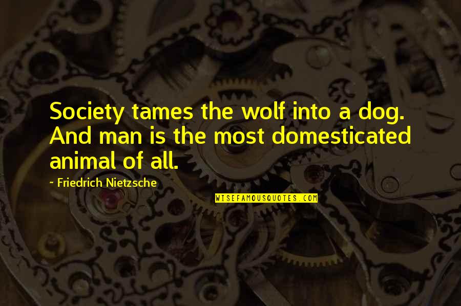 Dog And A Man Quotes By Friedrich Nietzsche: Society tames the wolf into a dog. And Dog And A Man Quotes By Friedrich Nietzsche: Society tames the wolf into a dog. And