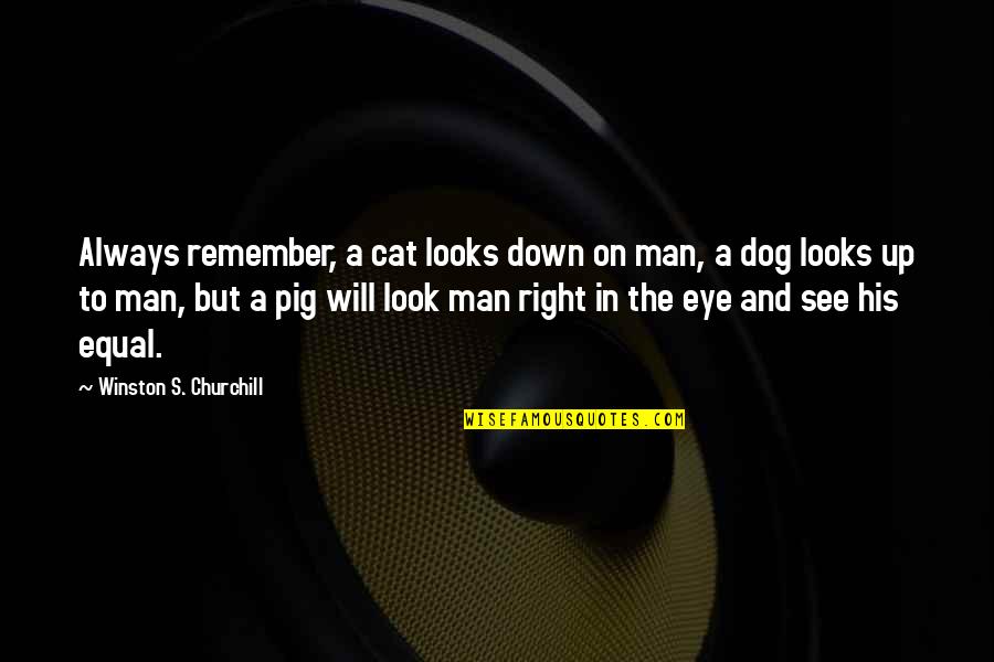 Dog And A Man Quotes By Winston S. Churchill: Always remember, a cat looks down on man, Dog And A Man Quotes By Winston S. Churchill: Always remember, a cat looks down on man,