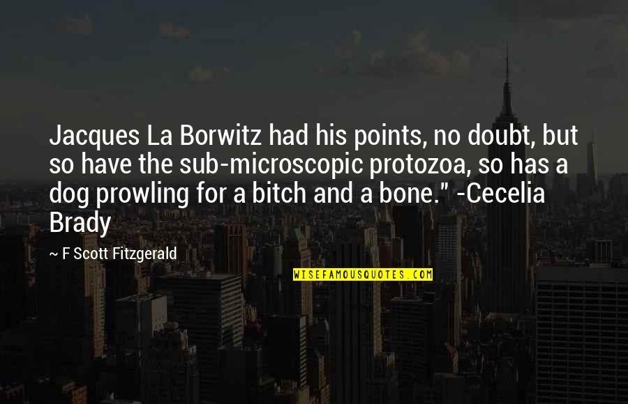 Dog And Bone Quotes By F Scott Fitzgerald: Jacques La Borwitz had his points, no doubt,