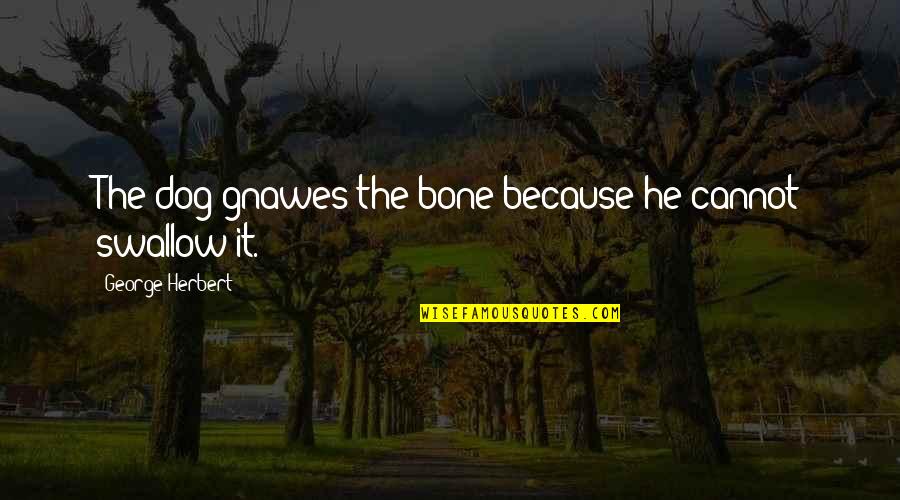 Dog And Bone Quotes By George Herbert: The dog gnawes the bone because he cannot