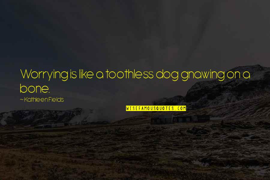 Dog And Bone Quotes By Kathleen Fields: Worrying is like a toothless dog gnawing on
