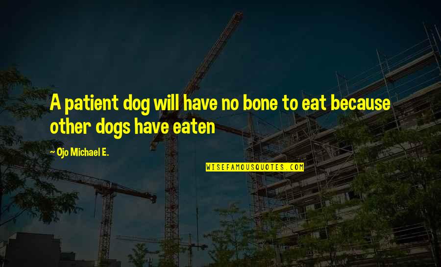 Dog And Bone Quotes By Ojo Michael E.: A patient dog will have no bone to