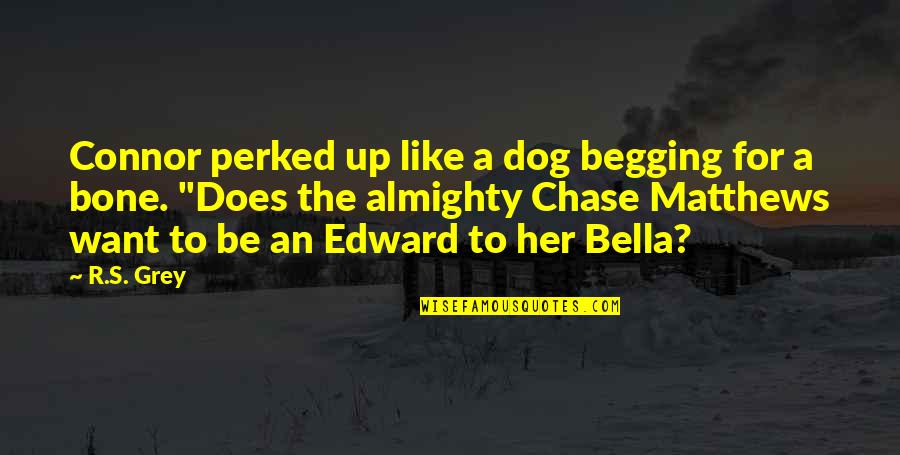 Dog And Bone Quotes By R.S. Grey: Connor perked up like a dog begging for