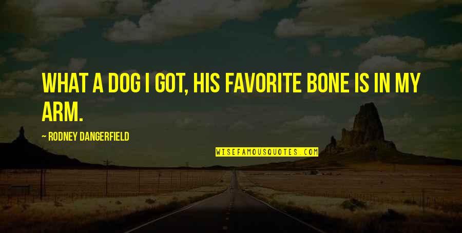 Dog And Bone Quotes By Rodney Dangerfield: What a dog I got, his favorite bone