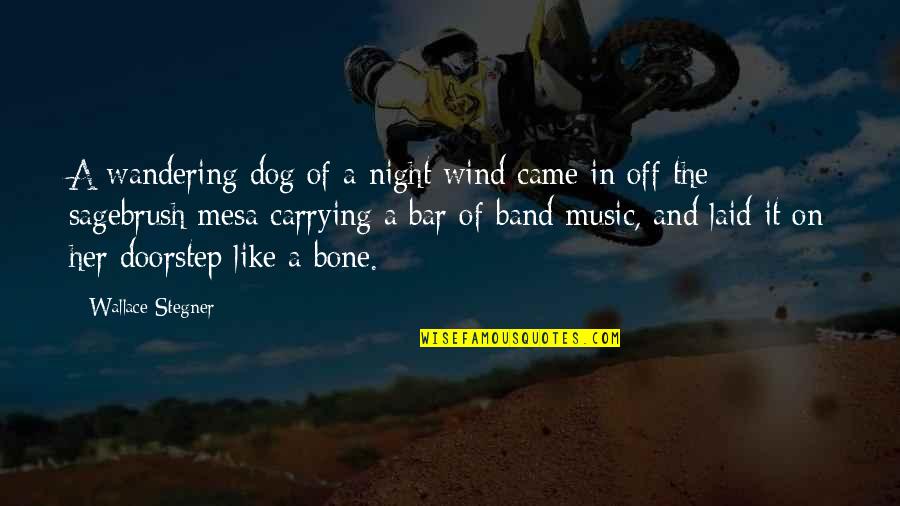 Dog And Bone Quotes By Wallace Stegner: A wandering dog of a night wind came