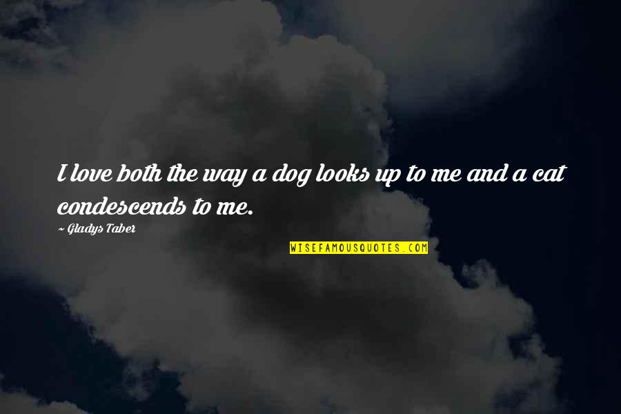 Dog And Cat Love Quotes By Gladys Taber: I love both the way a dog looks