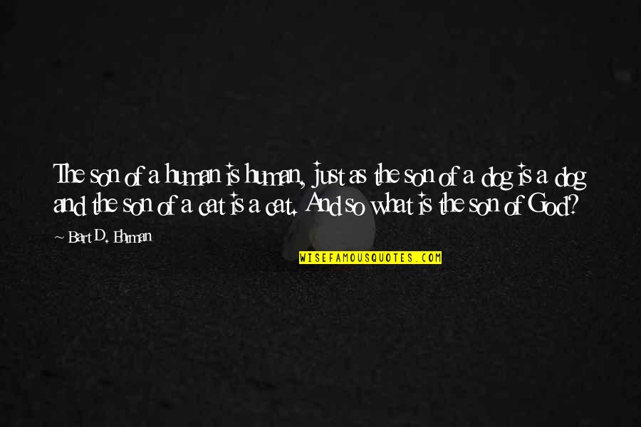 Dog And Cat Quotes By Bart D. Ehrman: The son of a human is human, just