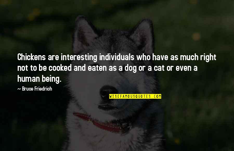 Dog And Cat Quotes By Bruce Friedrich: Chickens are interesting individuals who have as much Dog And Cat Quotes By Bruce Friedrich: Chickens are interesting individuals who have as much