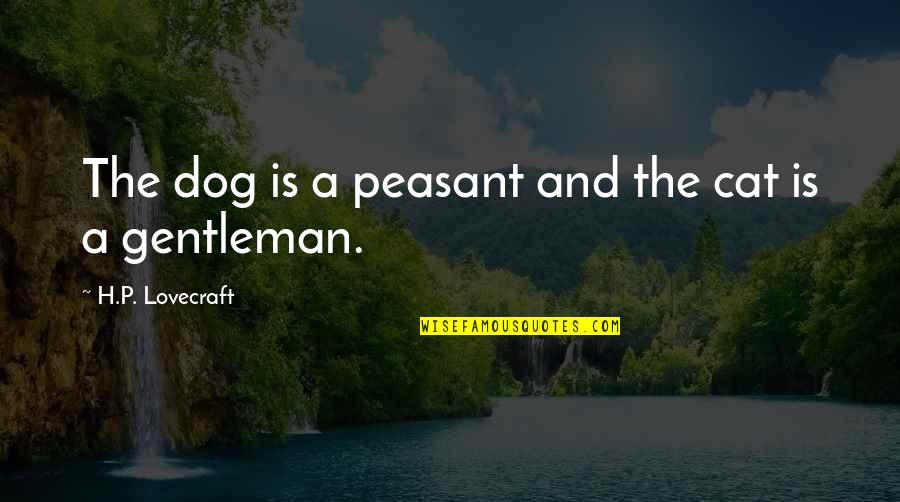 Dog And Cat Quotes By H.P. Lovecraft: The dog is a peasant and the cat Dog And Cat Quotes By H.P. Lovecraft: The dog is a peasant and the cat