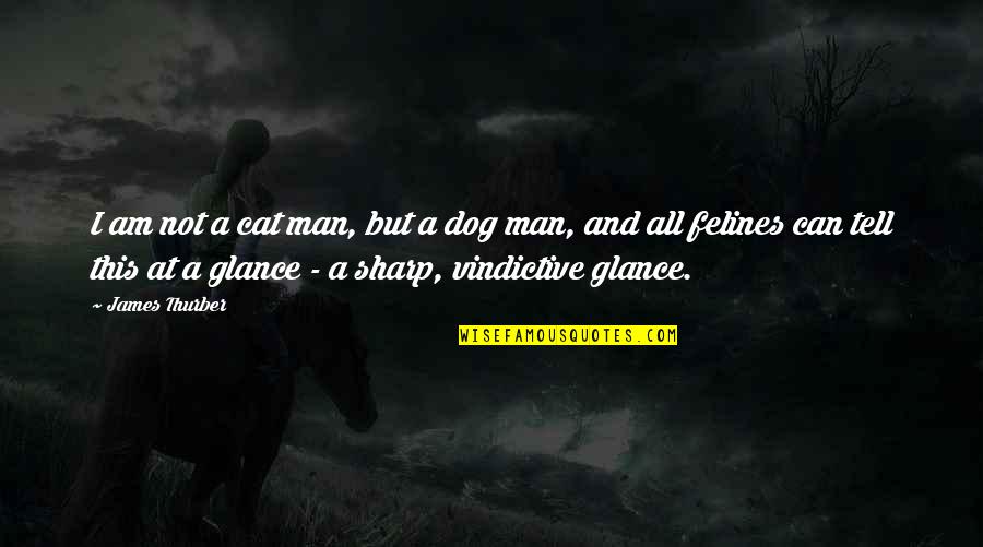 Dog And Cat Quotes By James Thurber: I am not a cat man, but a Dog And Cat Quotes By James Thurber: I am not a cat man, but a