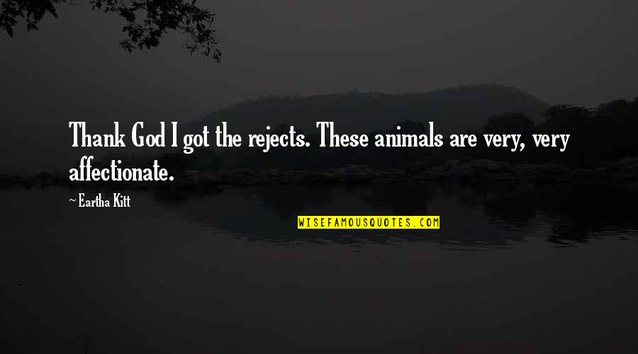 Dog And God Quotes By Eartha Kitt: Thank God I got the rejects. These animals