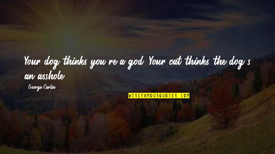 Dog And God Quotes By George Carlin: Your dog thinks you're a god. Your cat