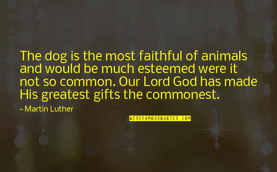 Dog And God Quotes By Martin Luther: The dog is the most faithful of animals