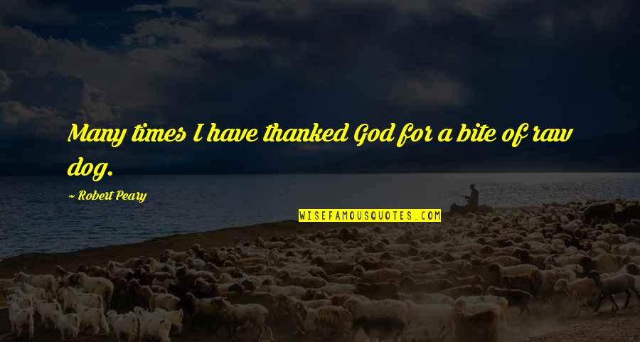 Dog And God Quotes By Robert Peary: Many times I have thanked God for a