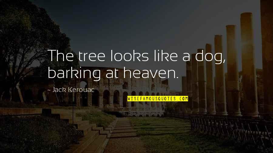 Dog And Heaven Quotes By Jack Kerouac: The tree looks like a dog, barking at