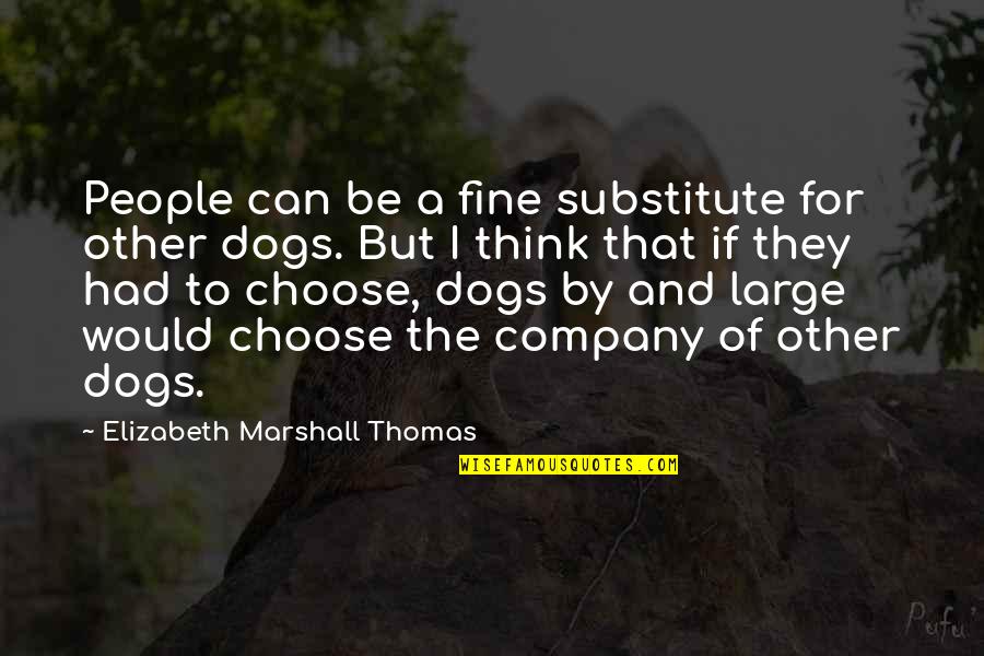 Dog And Quotes By Elizabeth Marshall Thomas: People can be a fine substitute for other