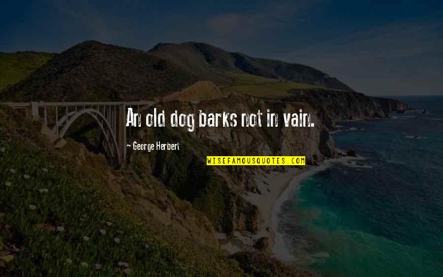 Dog Bark Quotes By George Herbert: An old dog barks not in vain.