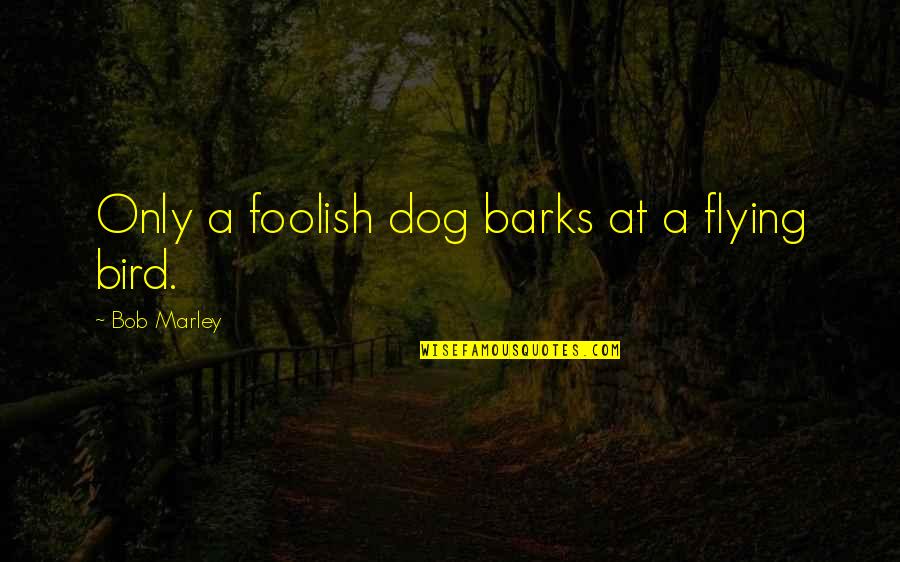 Dog Barks Quotes By Bob Marley: Only a foolish dog barks at a flying