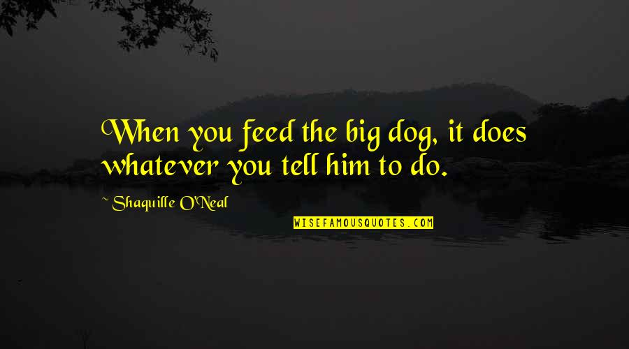 Dog Basketball Quotes By Shaquille O'Neal: When you feed the big dog, it does Dog Basketball Quotes By Shaquille O'Neal: When you feed the big dog, it does