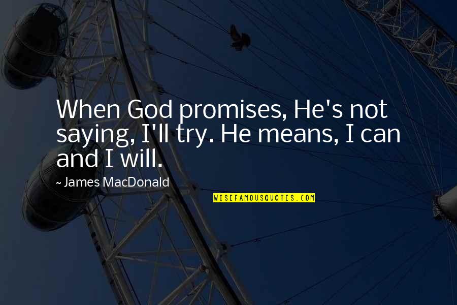 Dog Baths Quotes By James MacDonald: When God promises, He's not saying, I'll try.