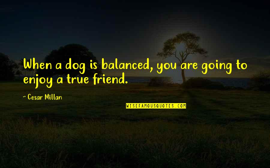 Dog Best Friend Quotes By Cesar Millan: When a dog is balanced, you are going