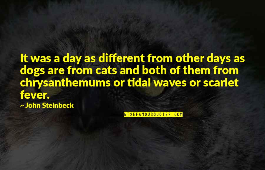 Dog Cat Quotes By John Steinbeck: It was a day as different from other