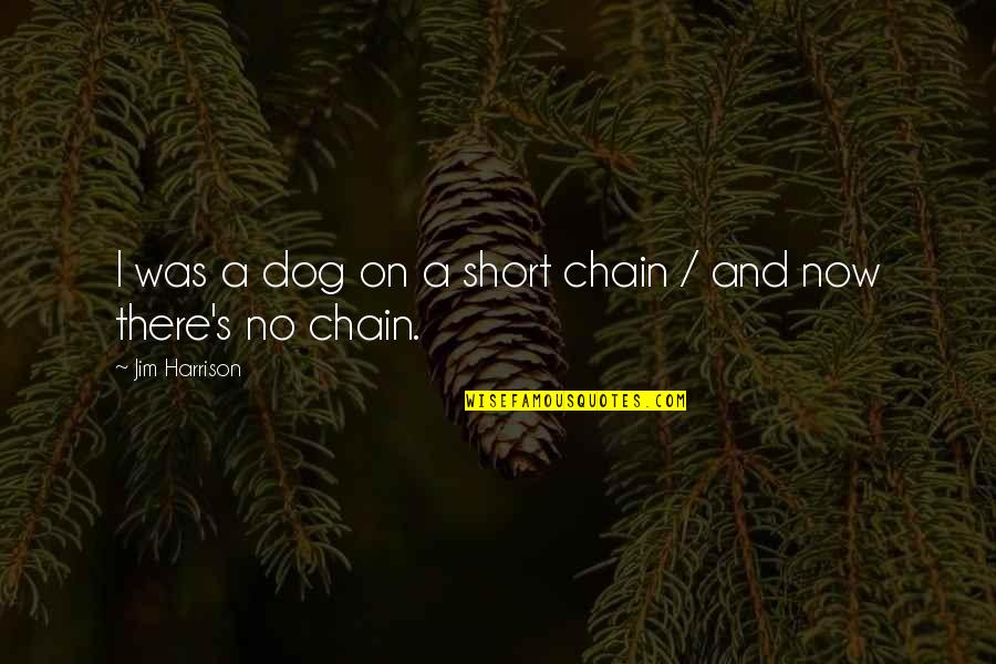 Dog Chain Quotes By Jim Harrison: I was a dog on a short chain Dog Chain Quotes By Jim Harrison: I was a dog on a short chain