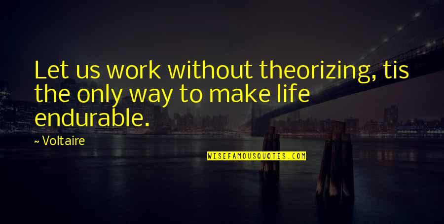 Dog Chasing Tail Quotes By Voltaire: Let us work without theorizing, tis the only