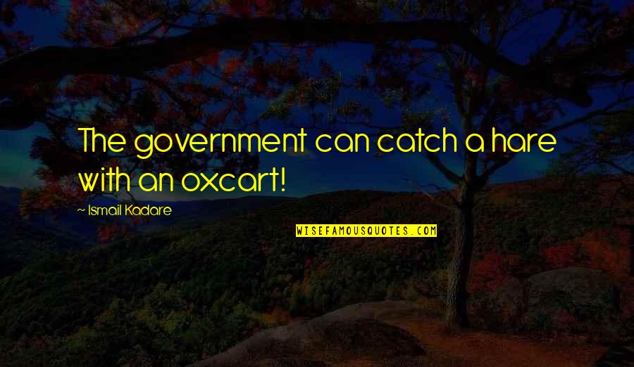 Dog Cuddle Quotes By Ismail Kadare: The government can catch a hare with an Dog Cuddle Quotes By Ismail Kadare: The government can catch a hare with an