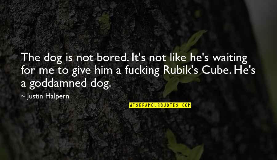 Dog Dad Quotes By Justin Halpern: The dog is not bored. It's not like