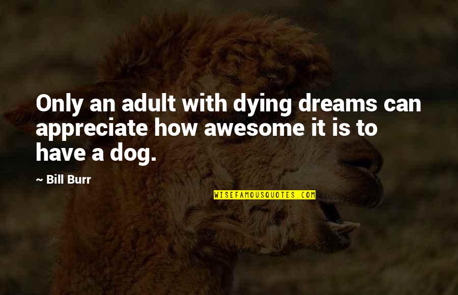 Dog Dying Quotes By Bill Burr: Only an adult with dying dreams can appreciate